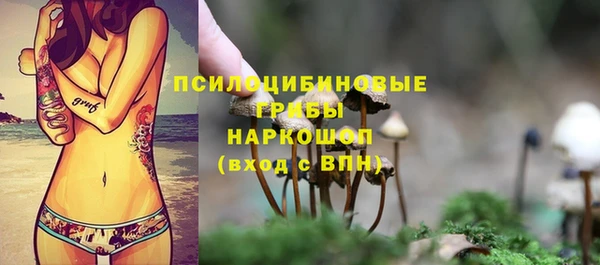 гидропоника Надым