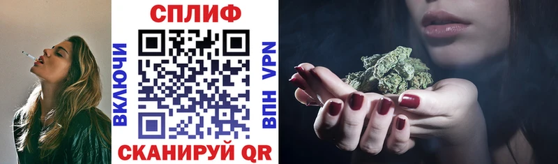Бошки Шишки план  Никольское 